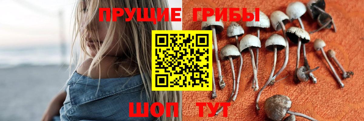 Псилоцибиновые грибы Psilocybine cubensis  Галлюциногенные грибы Magic Shrooms  Ярцево  Вход с VPN 